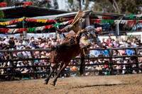 Rodeo - Boddington Best 50