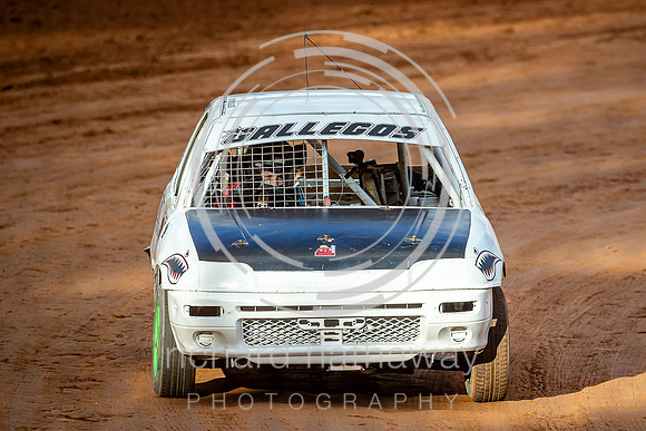Collie 20251122-006
