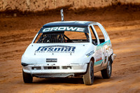 Collie 20251122-016