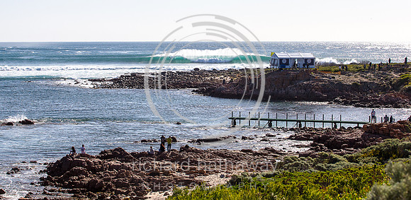 margiespro20170329-36