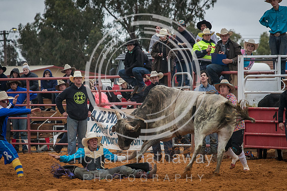 Mullewa Muster 2016-2