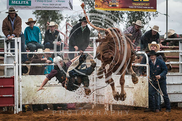 Mullewa Muster 2016-51