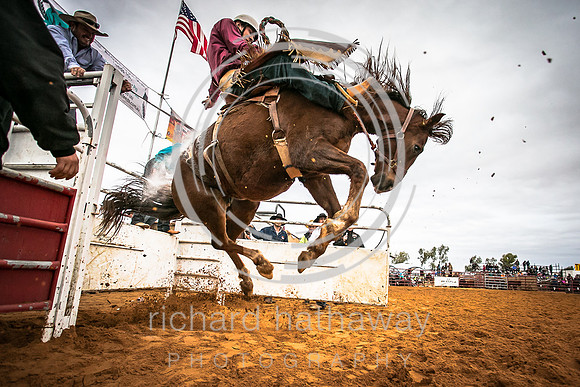 Mullewa Muster 2016-116